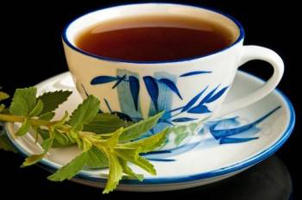 Stevia