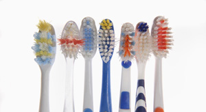 Odontobourtses